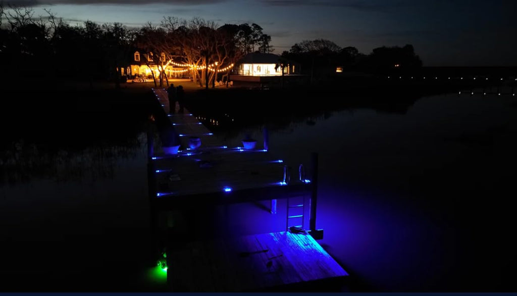 Hydro Glow Dm260B 40W/120Vac Dock Mounted Fishing Light - Blue