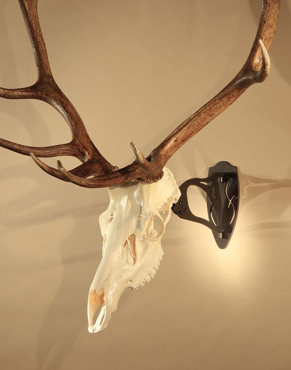 Skull Hooker Big Hooker European Trophy Mount - Perfect Kit For Hanging And Mounting Taxidermy Elk, Moose, & Caribou Antlers Sku