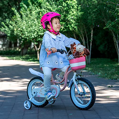 Royalbaby Swan Girls Princess Kids Bike With Basket Mudguards, 12 14 16 18 Inch Toddler Beginners Bicycle For Age 3-10 Years, Tr