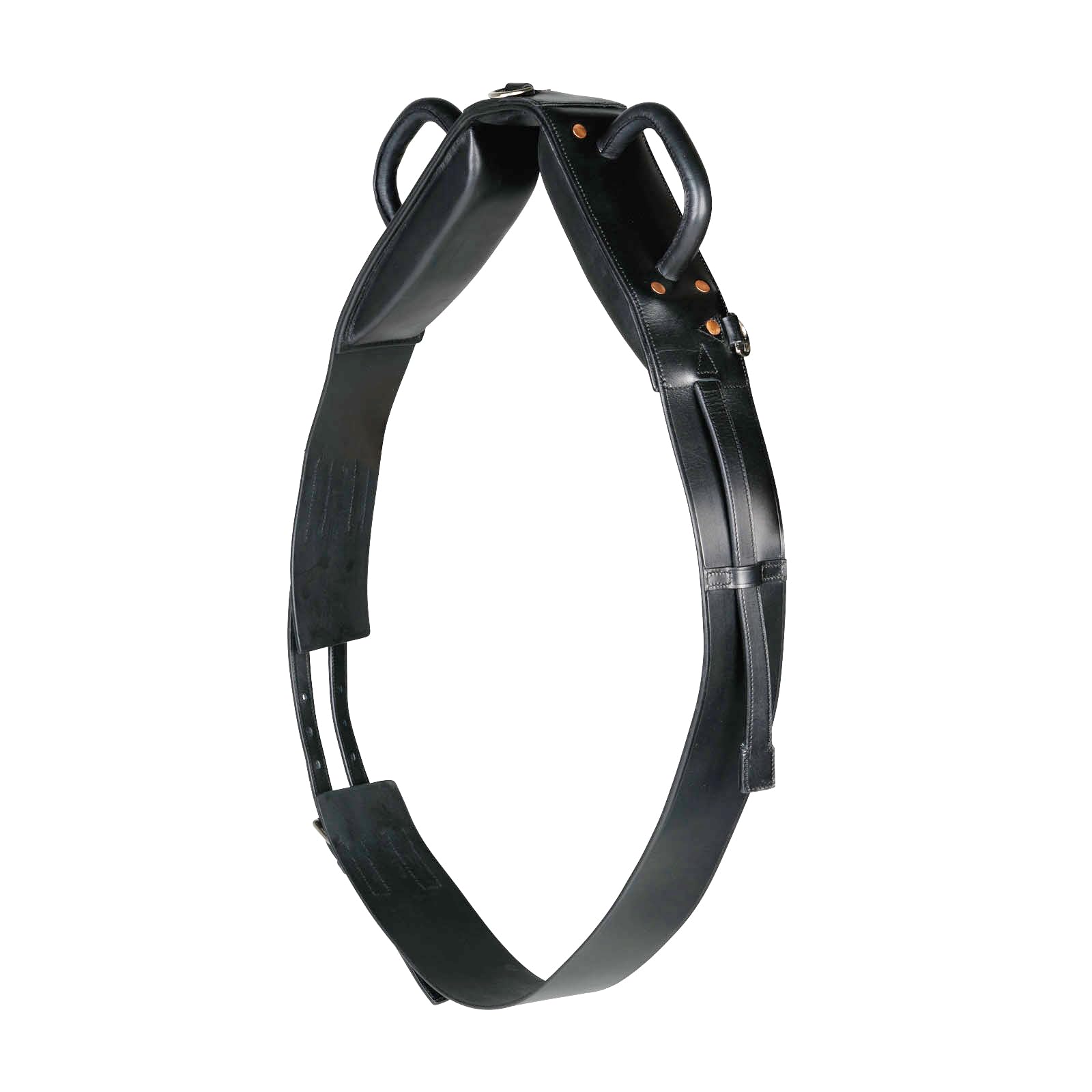 Horze Vaulting Surcingle - Black - One Size