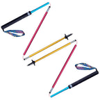 Aonijie Folding Ultralight Carbon Fiber Trekking Poles Quick Lock Trekking Hiking Pole Walking Stick (110 Cm Style 2)