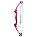 Genesis Archery Compound Bow, W/Adjustable Riser, Original, Right Handed, Purple