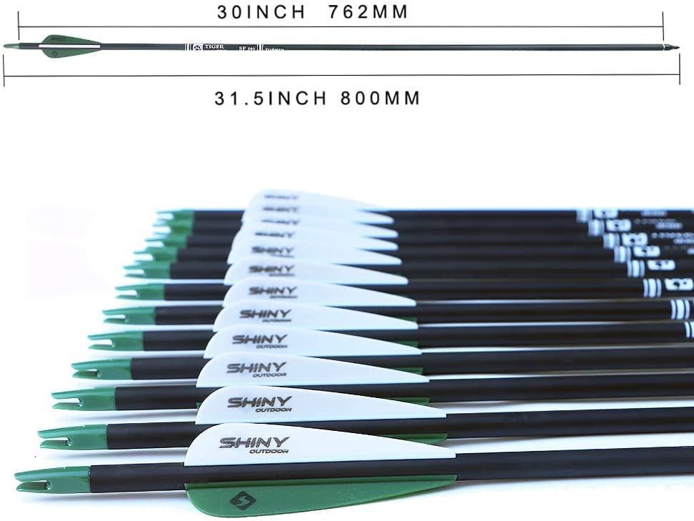 Tiger Archery 30Inch Carbon Arrow Practice Hunting Arrows With Removable Tips For Compound & Recurve Bow(Pack Of 12) (Deep Green