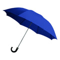 Rainbrella 2-Fold Auto Open Umbrella With Sleeve And Plastic Hook Handle, Blue, 42'', 48135