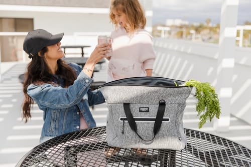 Igloo Heather Grey Medium Moxie Duffel 20