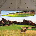 Hkoo Golf Cart Rear View Mirror,16.5'' Extra Wide 180 Degree Panoramic Rear View Mirror Fit For Golf Cart Ezgo Club Car Yamaha (