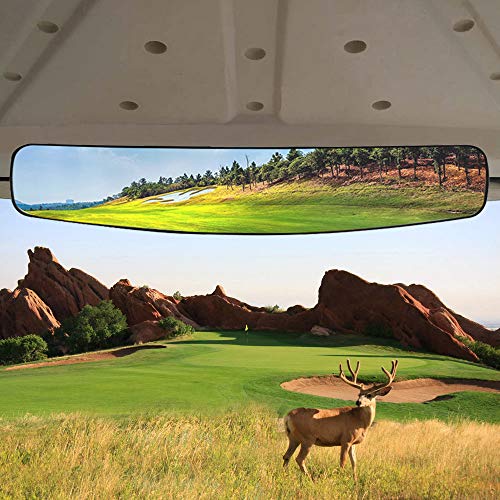 Hkoo Golf Cart Rear View Mirror,16.5'' Extra Wide 180 Degree Panoramic Rear View Mirror Fit For Golf Cart Ezgo Club Car Yamaha (