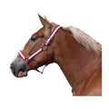 Intrepid International 1-1/2 Poly Draft Horse Halter with White Overlay - Red/White