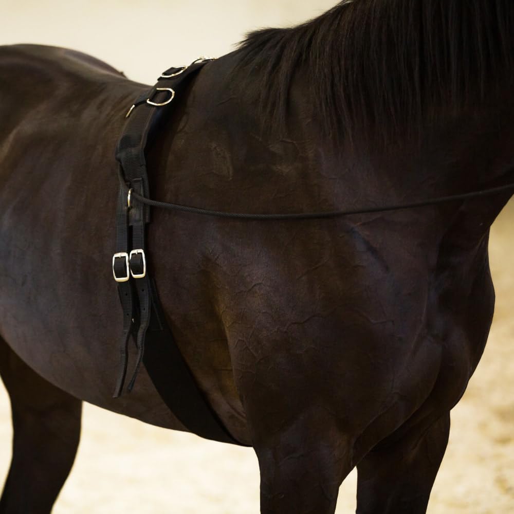 Horze Lunging Surcingle For Horses  Nylon Roller For Training - Black - Horse