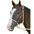 Mustang Breaking Hackamore Bridle For Horse  Durable Horse Bitless Bridle With 7/16'' Rope Noseband, 3/4'' Headstall & Flat Brai