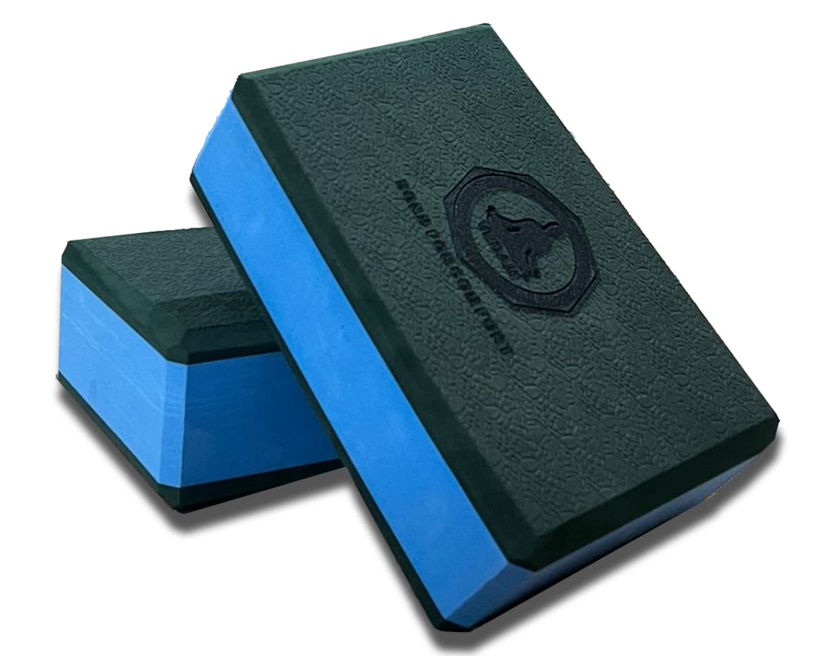 Vedam Yoga Brick Fitness Brick (Set of 2)