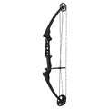 Genesis Gen-X Lightweight Compound Bow, Archery Hunting Bow for Adults w/Adjustable Riser, Cam Draw Weight, & Length, Draw Hand 