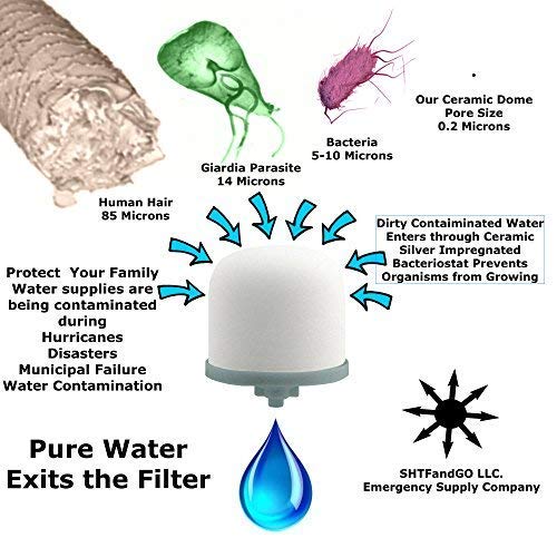 Ceramic Dome Water Filter Silver Impregnated With Active Carbon (2 Pack)