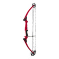 Genesis Archery Compound Bow And Arrow Set, Original, Right Handed, Red