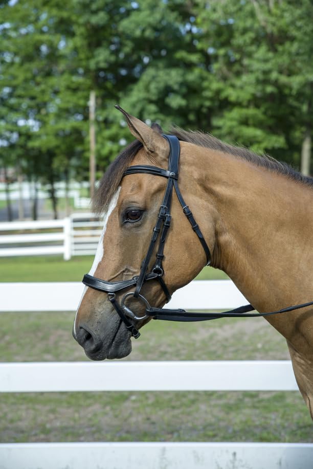 Henri de Rivel Pro Anatomical Bridle Horse Black