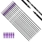 Tiger Archery 30Inch Carbon Arrow Practice Hunting Arrows With Removable Tips For Compound & Recurve Bow(Pack Of 12) (Purple Whi