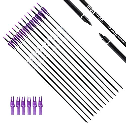 Tiger Archery 30Inch Carbon Arrow Practice Hunting Arrows With Removable Tips For Compound & Recurve Bow(Pack Of 12) (Purple Whi