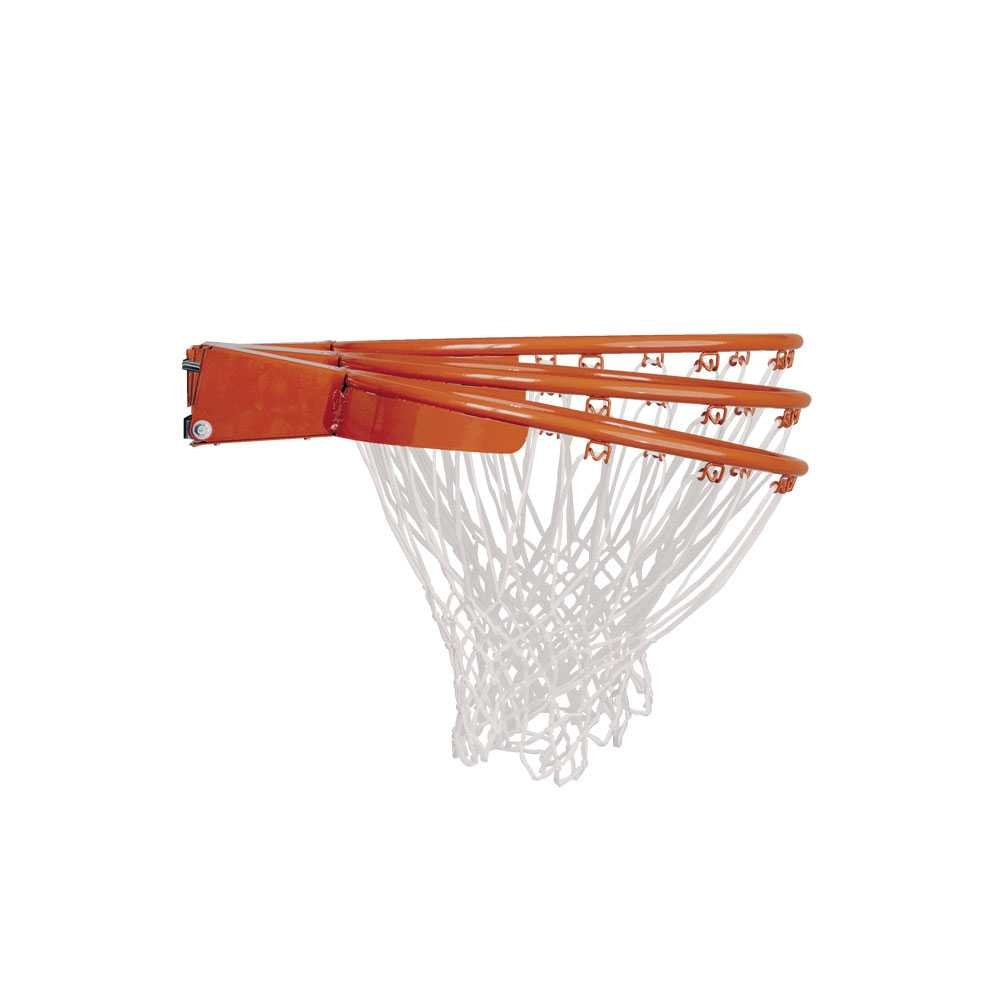 Lifetime Adjustable In-Ground Basketball Hoop (54-Inch Acrylic) Clear