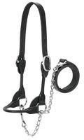 Weaver Leather Livestock Dairy/Beef Rounded Show Halter , Black, Large
