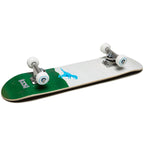 [Ccs] T-Rex Dinosaur Skateboard Complete 7.00'' - Maple Wood - Professional Grade - Fully Assembled With Skate Tool And Stickers