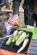 Eureka! Sprk Portable Butane Camping Grill