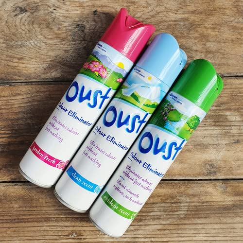 Oust Odour Eliminator Outdoor Scent, 300Ml