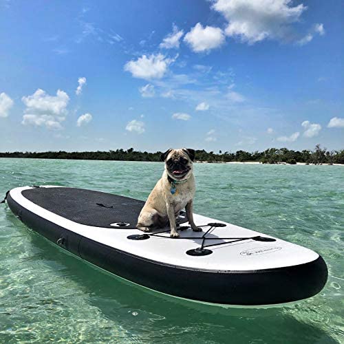 Blue Water Toys Portable Inflatable Stand Up Paddle Board Kit With Pump, Backpack, Coil Leash, And Repair Kit, Sup 350 Pound Lim