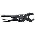 Pedro'S Vise Whip