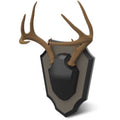 Hunters Specialties Antler Skull Cap Mount - Lightweight Resin Design, 2-Piece Construction, Hardware Included