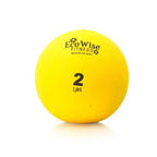 Eco Wise Fitness Weight Ball Color/Weight: Blue Dahlia (5 Lbs)