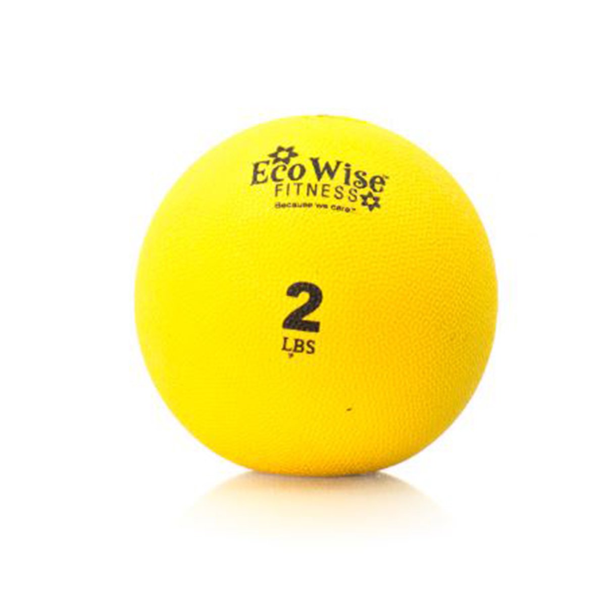 Eco Wise Fitness Weight Ball Color/Weight: Blue Dahlia (5 Lbs)