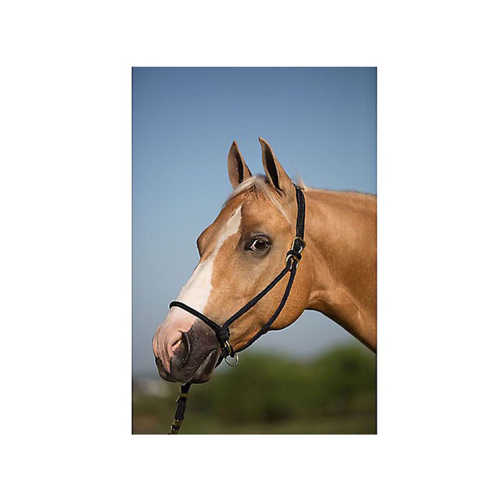 Mustang Be Good Control Poly Rope Halter Black