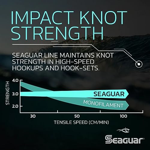 Seaguar Blue Label 100% Flourocarbon Fishing Line (Dsf), 60Lbs, 25Yds Break Strength/Length - 60Fc25