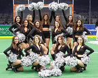 Puzine 2Pack 12'' Cheerleading Metallic Foil & Plastic Ring Pom Poms Cheerleading Poms (Black)