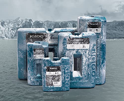 Igloo Performance Ice Large Brick