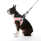 Gooby Simple Step In Iii Harness - Pink, Small - Small Dog Harness With Scratch Resistant Outer Vest - Soft Inner Mesh Harness F