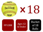 Rawlings | Nc12Bb Fastpitch Softballs & Bucket | 12'' | 18 Count