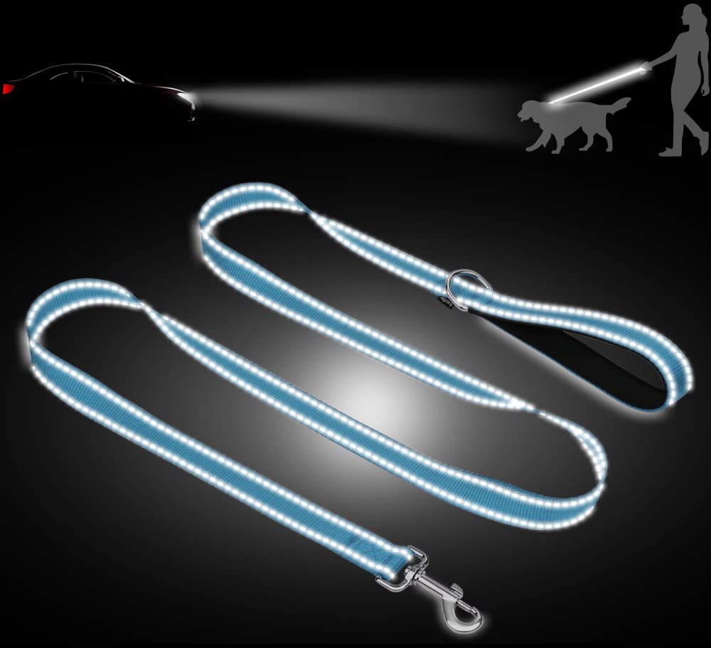 Taglory Reflective Heavy Duty Dog Leash 1 In X 4 Ft, Neoprene Padded Handle And Metal Hook Pet Training Leashes For Small Medium
