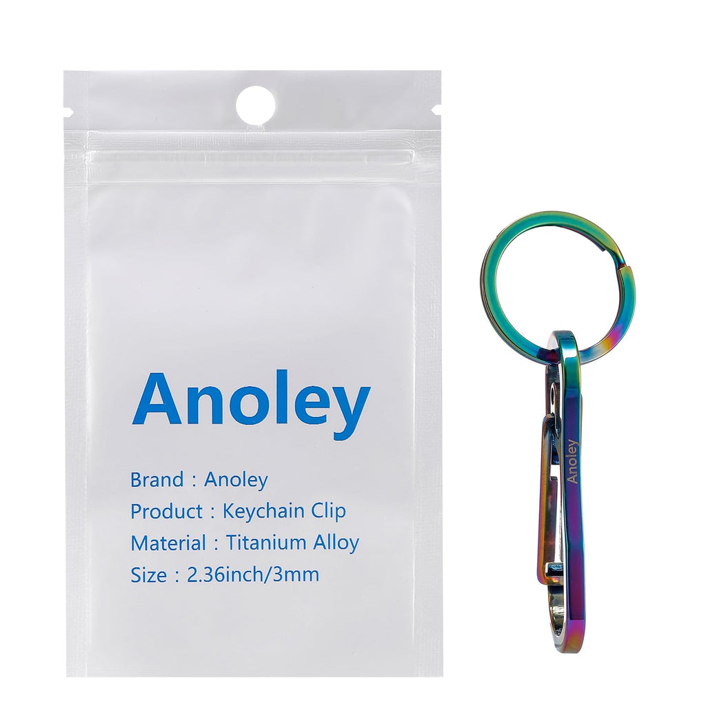Alsmiley 2Pcs Stainless Steel Carabiner Clip High Loading-Bearing Carabiner Ring Set Keychain Quick Release Hooks For Men Women