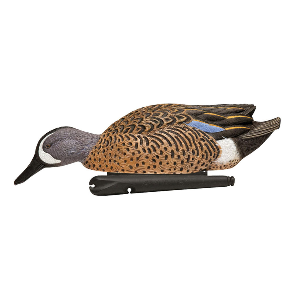 Avian X Topflight Blue-Winged Teal Decoys, Realistic Floating Duck Decoys For Hunting, Weight-Forward Swim Keel, Set Of 6, Multi