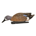 Avian X Topflight Blue-Winged Teal Decoys, Realistic Floating Duck Decoys For Hunting, Weight-Forward Swim Keel, Set Of 6, Multi