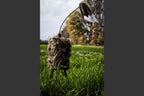 Mojo Outdoors Critter Predator Hunting Decoy - Great For Coyote And Bobcat Hunting And As A Varmint Decoy - Tail Decoy - Rabbit