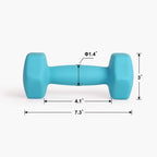 Lionscool Neoprene Coated Dumbbell Weights (Skyblue 6Lb Pair)