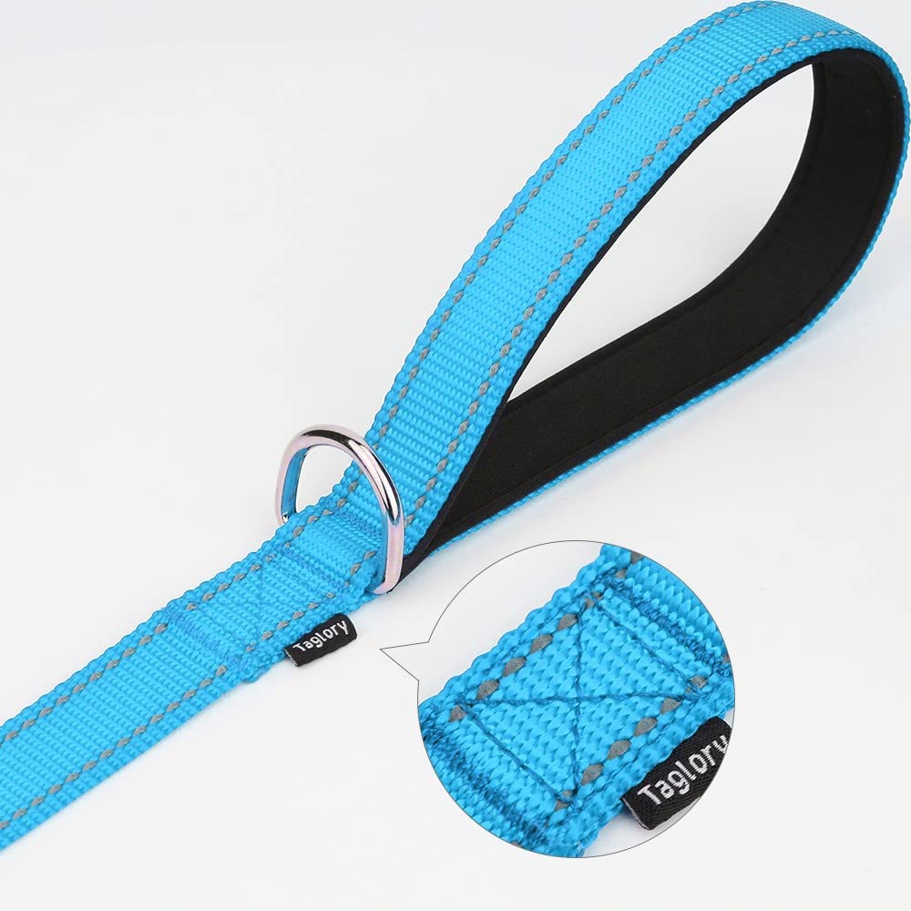 Taglory Reflective Heavy Duty Dog Leash 1 In X 4 Ft, Neoprene Padded Handle And Metal Hook Pet Training Leashes For Small Medium