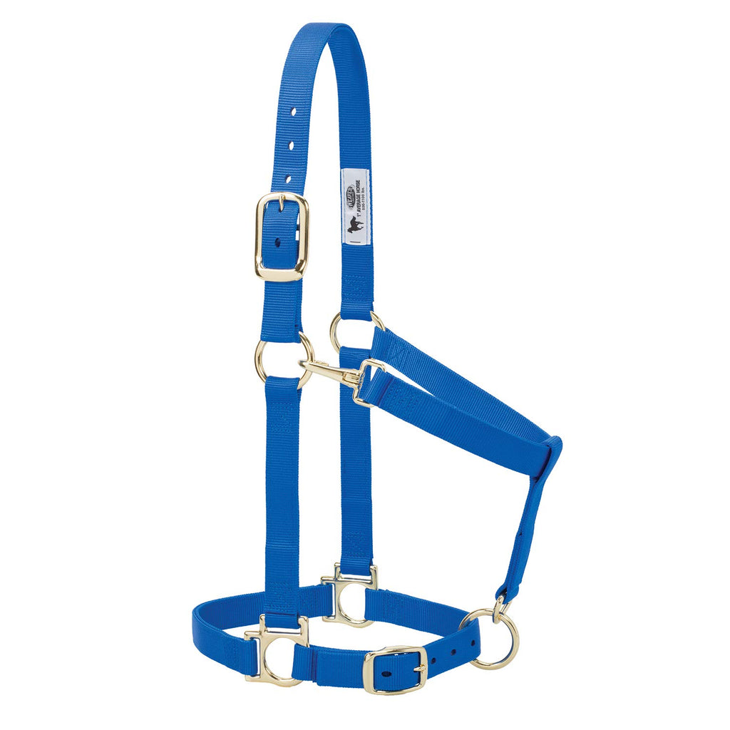 Weaver Leather Basic Adjustable Nylon Halter, Blue, 1'' Average Horse