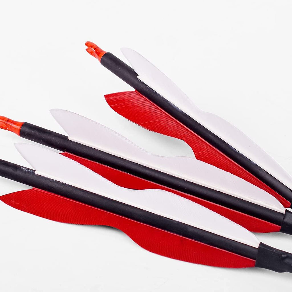 30Inch Carbon Arrow Archery Hunting/Targeting Practice Arrows With 5 Turkey Feathers For Compound Recurve Longbow 12Pack
