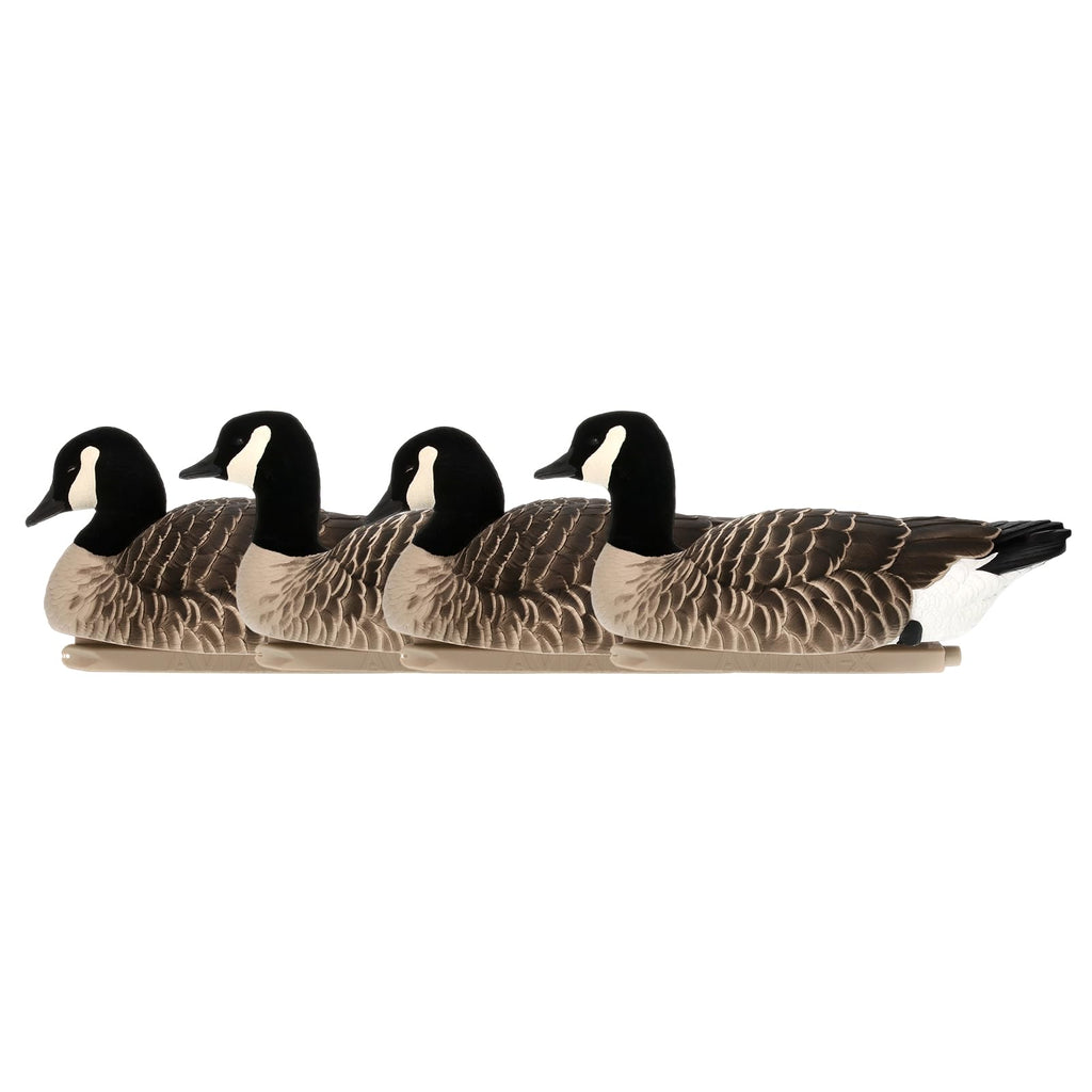 Avian-X Topflight Lessers Floating Goose Hunting Decoys With True To Life Postures For Hunting Purposes, Outdoor Sports, And Rec