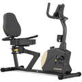 Vanswe Recumbent Exercise Bike, Recumbent Stationary Bikes For Home 400 Lbs Weight Capacity, Exercise Bike For Home Seniors With