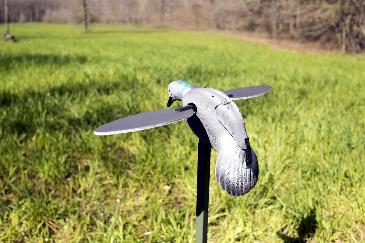 Mojo Pigeon Spinning Wing Dove Decoy For Dove Hunting
