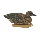 Avery Outdoors 73123 Pg Green Winged Teal (1/2 Dozen) Hunting Decoy Accessories